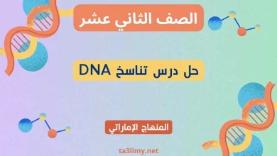 حل درس تناسخ DNA أحياء ثاني عشر إماراتي